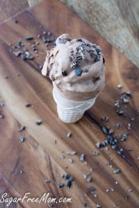 Dairy Free Low Carb Chocolate Ice Cream