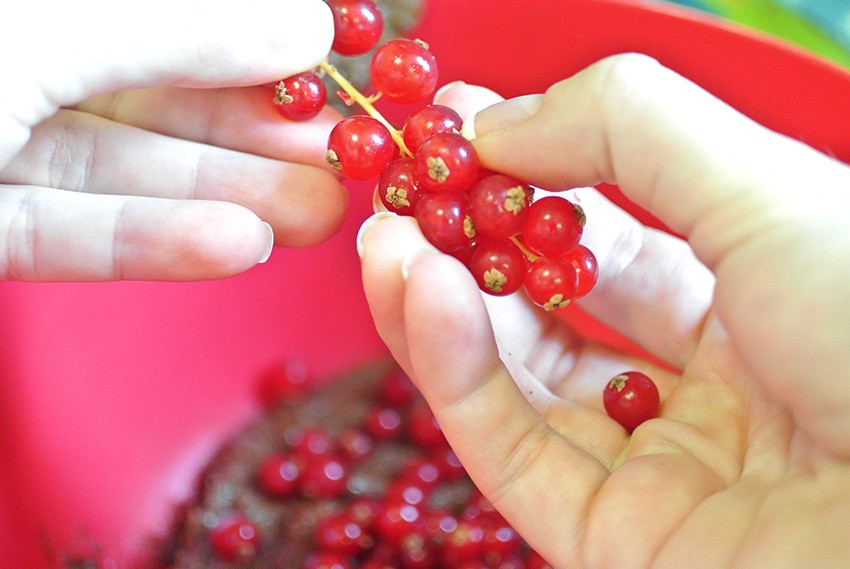 Fold in currants