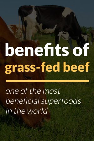 benefits of grass-fed beef