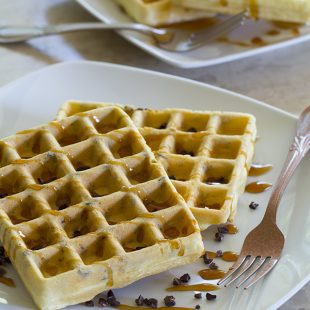 Low Carb, Sugar Free, Gluten Free Waffles with only 5 Ingredients!