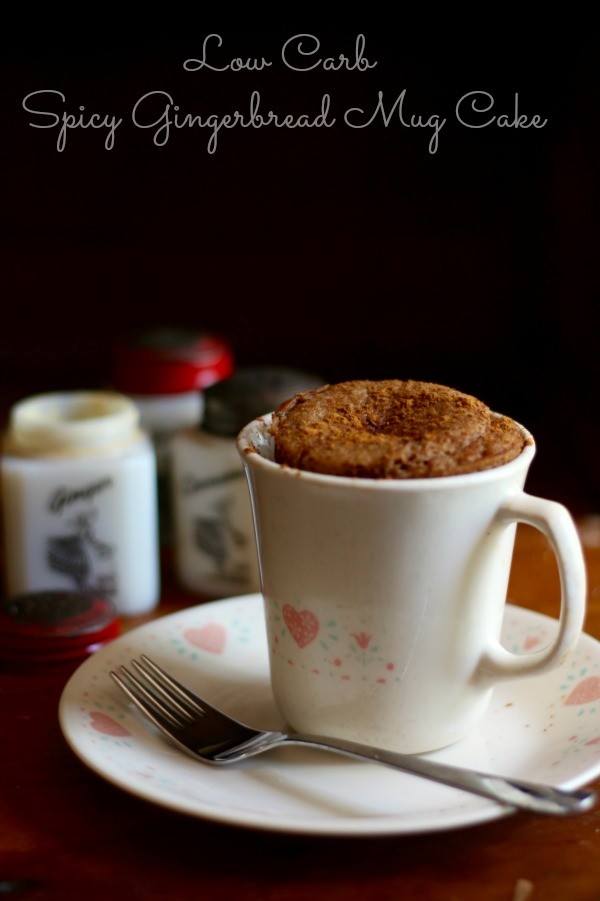 Low Carb Spicy Gingerbread Mug Cake