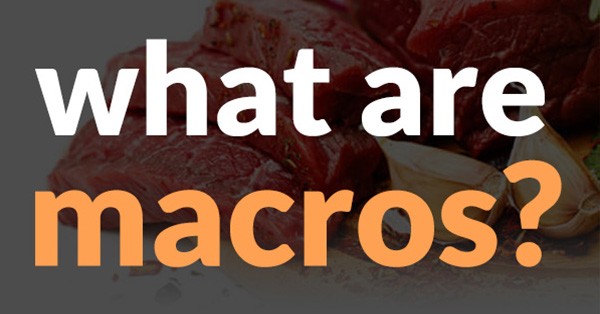 Guide To Macronutrients and Counting Macros | Tasteaholics
