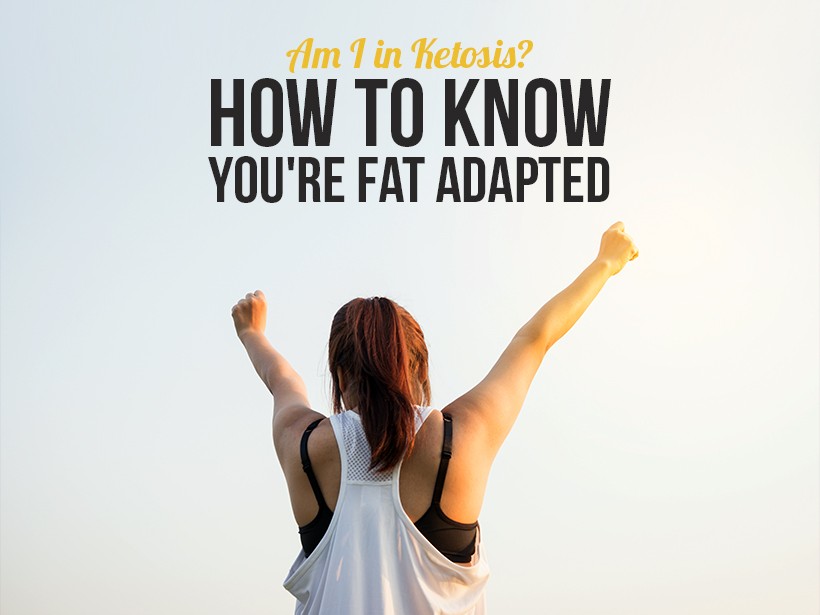 Am I in Ketosis? How to Know You're Fat Adapted
