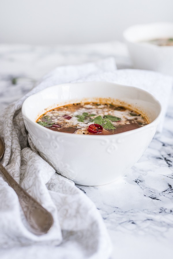 Low Carb Chicken Enchilada Soup