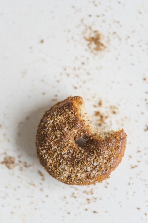 Keto County Fair Cinnamon Donuts