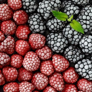 Frozen Berries