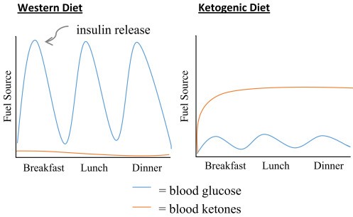 Glycolysis versus Ketosis energy